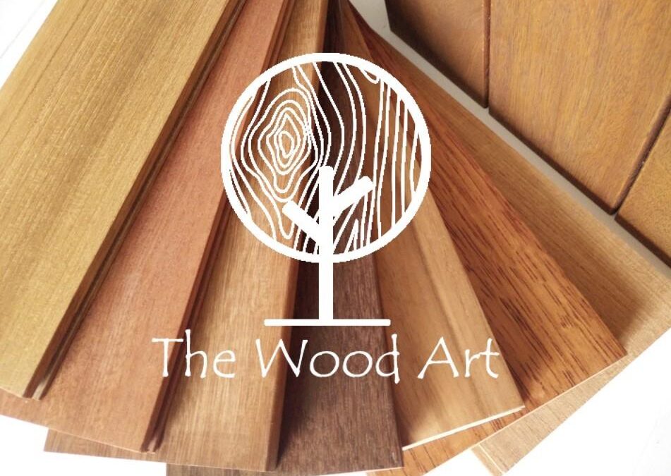 TMM Century Enterprise