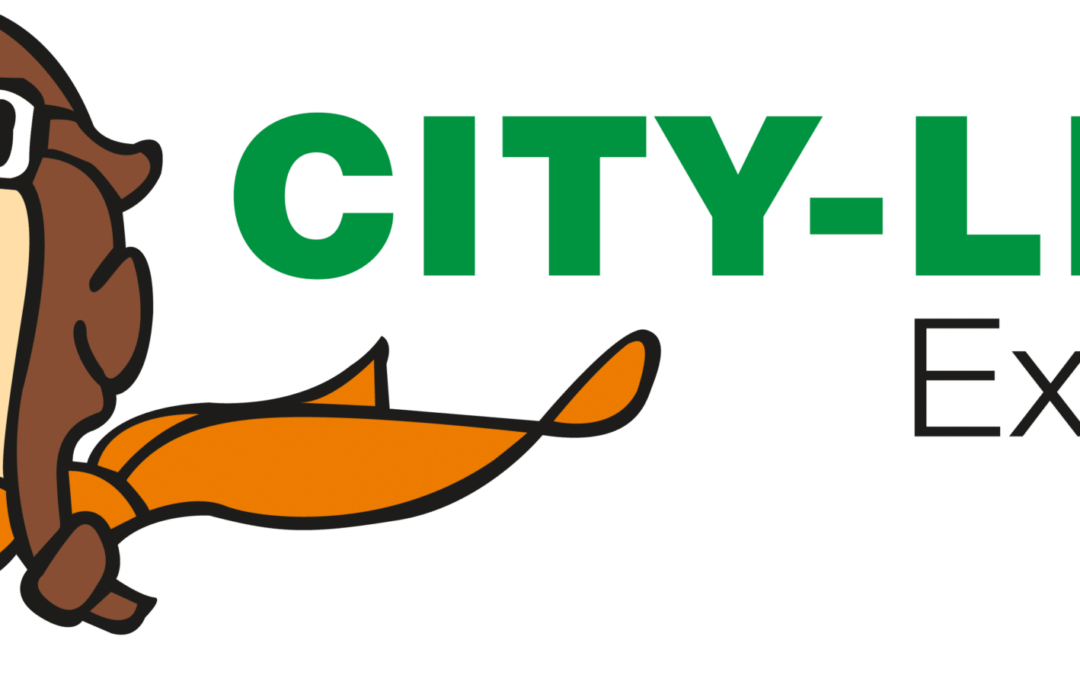 CITY-LINK EXPRESS
