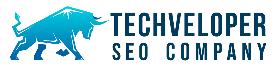SEO Company – Techveloper Solutions Plt
